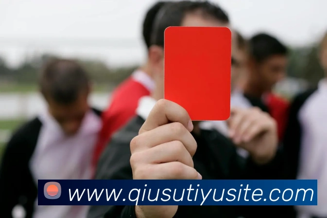 球速体育APP 封面图